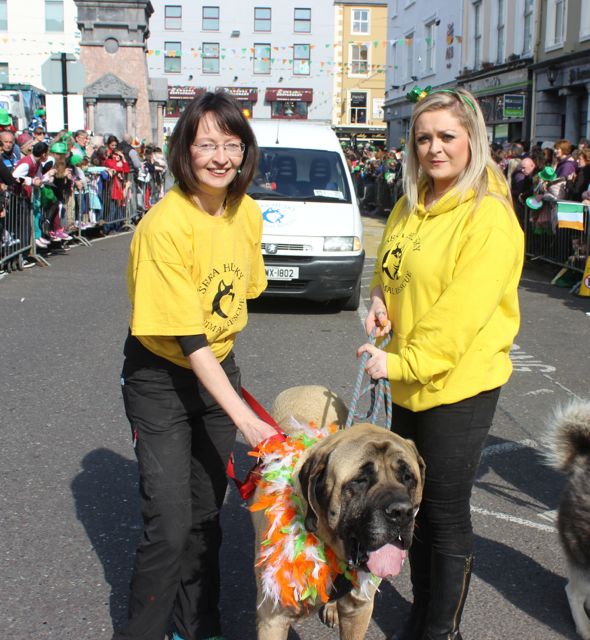 Members of the Sera Husky contingent at the parade. Photo by Dermot Crean