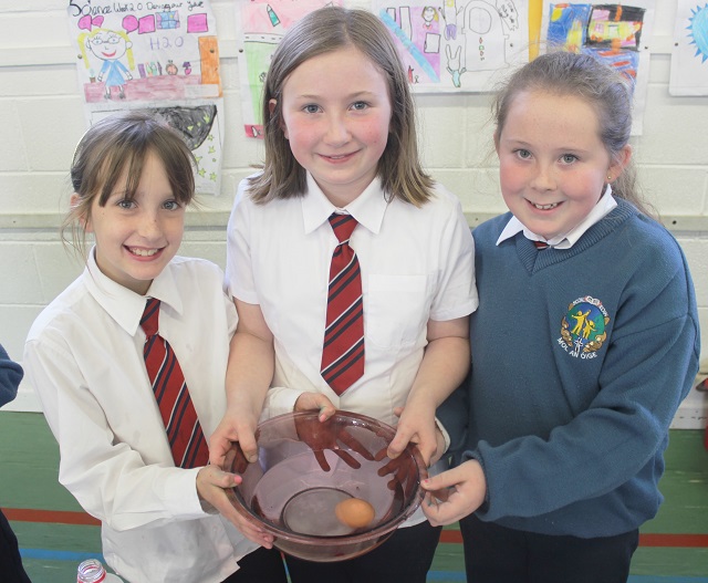 At the Scoil Eoin National Science Week, science experiments day. Deirdre Quigley, Sophie Duggan and Kayleigh O'Brien. Photo by Gavin O'Connor.