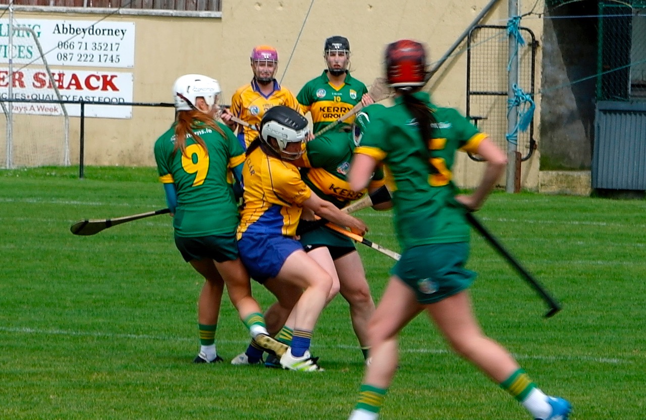 CAMOGIE: Kerry Lower The Banner In Facile Victory