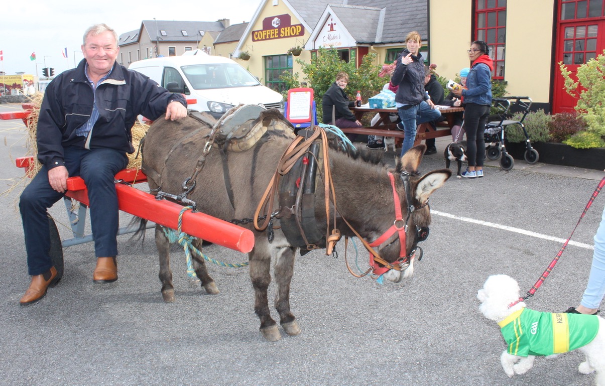 Blennerville Threshing Festival To Be A Fantastic Family Day Out