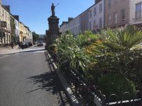 Tralee Retains Tidy Towns Gold Medal