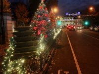 The lights in Denny Street. Photo by Dermot Crean