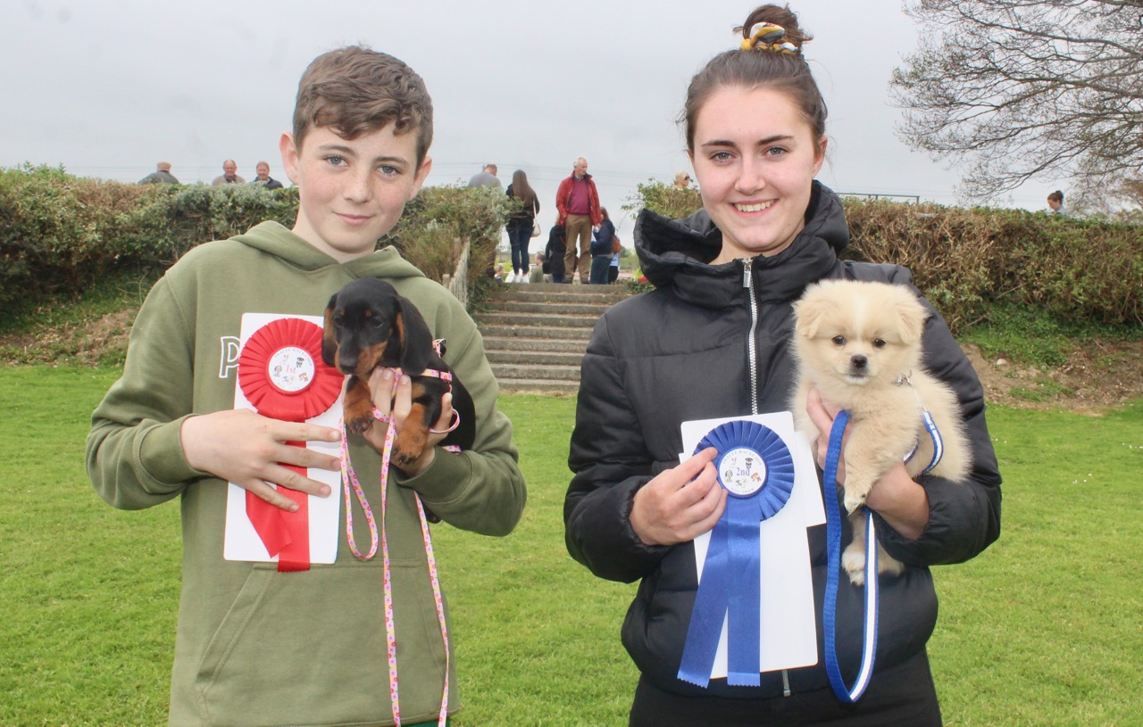 PHOTOS: Dog Show Fun At Tralee Races In Ballybeggan