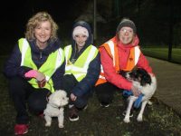 Tracy and Leah Kelliher with 'Freddie' and Fiona McPolin with 'Daisy' on the first St Pats GAA Operation Transformation Walk from the club on Tuesday night. Photo by Dermot Crean