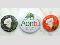 Aontú To Donate Part Of Easter Lily Sales To Charities