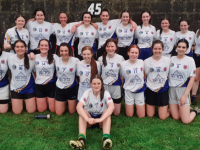 Tralee Parnells Minor Camogie team vs Causeway in 1st Round of Co. Championship