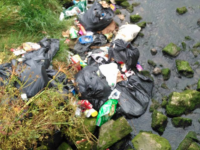 428 Litter Cases Investigated In Tralee Last Year But No Convictions