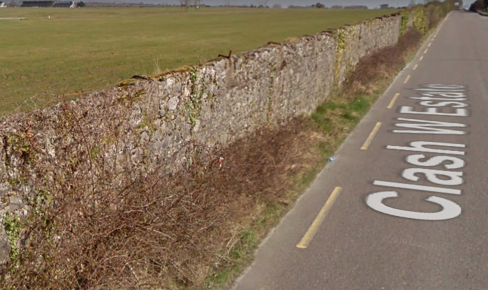 Cllr Expresses Concerns About State Of Boundary Wall At Racecourse