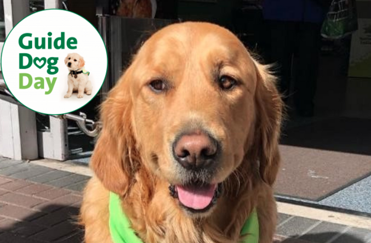 Tralee Branch Members Of Irish Guide Dogs Take Part In May Fundraiser