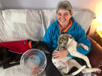 Welfare Award Recipient Sarah Hensman with her greyhound pup Paudie.