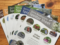 Special ‘Spotter Sheets’ To Help During Kerry Biodiversity Week