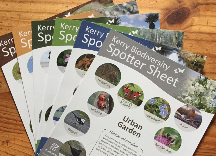 Special ‘Spotter Sheets’ To Help During Kerry Biodiversity Week