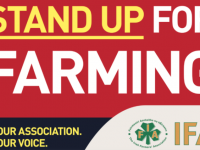 IFA Rally To Be Held In Tralee This Morning