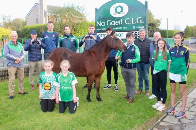 Na Gaeil GAA Club Looks Forward To Race Night