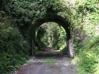 WATCH: A Look At How The North Kerry Greenway Is Progressing