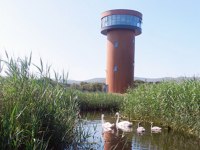 Free Tour Of Tralee Bay Wetlands To Mark World Wetlands Day