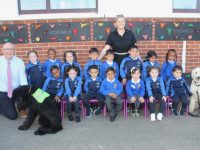 Teacher Daire Quirke's junior infants pupils with CBS Primary School Principal Denis Coleman and therapy dogs Zorro and Daithí. Photo by Dermot Crean