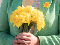 Volunteers Needed In Tralee To Help Out On Daffodil Day