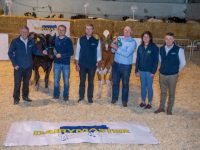 12.6.2023 : Repro Free : L-R. Liam Leen, Johnny O'Hanlon, Noel Scanlon, Leo O'Connor, Gerladine Harty, Pat Ryan at The Launch of Kerry Herds Friesian Breeders Club Competition with herd sponsor Dairymaster took place in Causeway .  
All roads led to Causeway for launch of Kerry Holstein Friesian Breeders Annual Herds Competition.
Causeway was bustling with activity recently when the Kerry Holstein Friesian Breeders Club hosted the IHFA Judges Conference at Barron’s Agri Trading. It was a great opportunity for individuals to learn from master judges about dairy stock to showmanship.  
Photo By : Domnick Walsh © Eye Focus LTD .
Domnick Walsh Photographer is an Irish Aviation Authority ( IAA ) approved Quadcopter Pilot.
Tralee Co Kerry Ireland.
Mobile Phone : 00 353 87 26 72 033
Land Line        : 00 353 66 71 22 981
E/Mail :        info@dwalshphoto.ie
Web Site :    www.dwalshphoto.ie
ALL IMAGES ARE COVERED BY COPYRIGHT ©
All roads led to Causeway for launch of Kerry Holstein Friesian Breeders Annual Herds Competition.
Causeway was bustling with activity recently when the Kerry Holstein Friesian Breeders Club hosted the IHFA Judges Conference at Barron’s Agri Trading. It was a great opportunity for individuals to learn from master judges about dairy stock to showmanship.  
In addition to an already busy schedule, the Kerry Club launched their herds competition at the event alongside herds competition sponsor Dairymaster.
Dairymaster who are international leaders in dairy equipment manufacturing are the main sponsors again this year and speaking at the launch, CEO John Harty comments “We are privileged to sponsor and support the Kerry herds competition again this year. I admire their work ethic and wanting to try new things, being the first club to host the judges conference is testament to their commitment, they must be commended.”

The herds competition aims to promote good production and conformation in Holstein Friesian herds. 
There are two categories, spring and autumn, which are subdivided into senior, intermediate, junior, novice pure friesian and new entrants’ sections with 1st, 2nd and 3rd prizes in each category. Prizes include:
•	Best overall cow based on KG’s of protein production
•	Highest herd percentage protein
•	Lifetime production cow
•	Highest conformation herd & production herd
•	Lowest Somatic Cell Count
•	Best overall heifer, junior cow and senior cow
•	Highest overall EBI herd
•	Cow families
•	A Pure Friesian Class 

“I would like to thank Dairymaster for the work and dedication they have given to the club. They are always very supportive, even providing a mobile milking unit for the judges conference which is much appreciated. The herd’s competition has grown significantly over the last few years and this year we are taking it a step further with the introduction of an international judge. This will bring a new and different perspective to the competition, and we are really looking forward to it” says Leo O’ Connor Chairman of the Kerry Holstein Friesian Breeders Club.
This year for the first time, Mick Gould of the worldwide recognised Woodmarsh Herd from Shropshire in the UK will judge the senior, intermediate and junior section, while Sylvia Helen, Eedy Herd will judge the novice section, new entrants and Friesian section.
Mick is no stranger to judging, having judged at every one of the Royal Shows including the very last English Royal Show at Stoneleigh. His international judging career includes the International Dairy Week in Australia, and the Interbred Championship at the Sydney Royal as well as the Irish National Holstein Show.
The competition is open to pedigree herds and all entries are to be sent to Geraldine Harty, Herds Competition Coordinator, Ballylongane, Ballyheigue, Co. Kerry. Judging will commence on the 3rd of July for Mick gould and at an earlier June date for Sylvia Helen, with the awards ceremony held on Thursday 6th July at Hughes Bar, Cordal. 
The clubs field evening/stock judging will take place at Sean Begley’s farm Slievrue Herd, Gurrane, Dingle on Sunday afternoon 25th of June.
