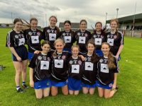 The Tralee Parnells Minor Camogie players who were defeated by Causeway in the final round of the County League