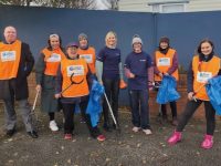 JRI America staff help with Tralee Tidy Towns.