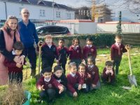Planting trees at Holy Family School on Monday morning.