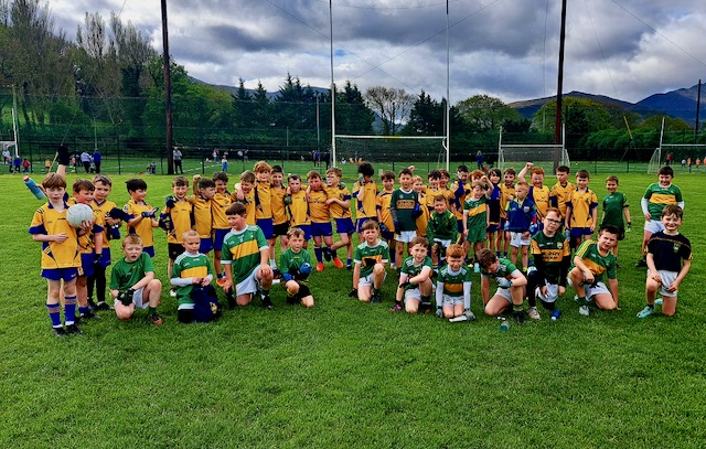 John Mitchels GAA Club News