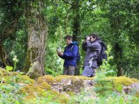 Killarney National Park is first in the Country & 9th In Europe
513 Species - 899 Observations - 11 Observers 

The results from Europe are in! And what a great result for Killarney National Parks, Conservation Rangers, General Operatives, Education Staff, and many volunteers who came together at the weekend to take part in the Natura 2000  ‘BioBlitz’ celebration 2024, the highlight of Biodiversity week in Killarney National Park. the highlight of Biodiversity week 2024 across Ireland with National Parks and Wildlife Services, (NPWS) and fellow European nature sites and reserves this weekend was  the  ‘Natura 2000 Bioblitz’  which aimed to  identify and record as many species in a given place on one day. Sean O'Brien, NPWS, left and Adam Mulvhill, exploring Killarney National Park. Photo: Valerie O'Sullivan/FREE PIC***/