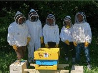 Members of the MTU Beekeeping Society with the new hive.