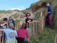 Volunteers erecting chestnut fencing along the dunes in Banna.