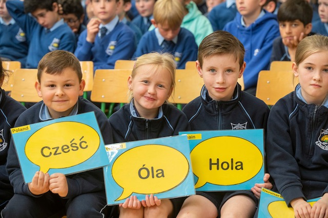 Primary Schools Encouraged To Register For Blue Star Programme