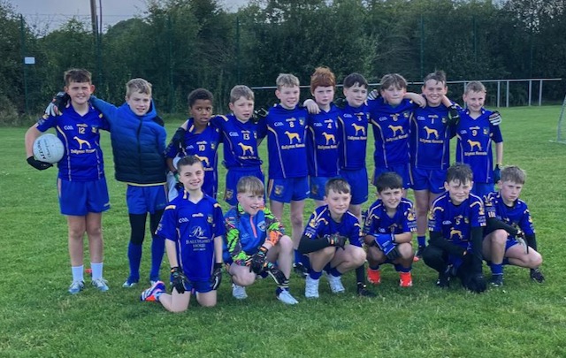 Ballymacelligott GAA Club News